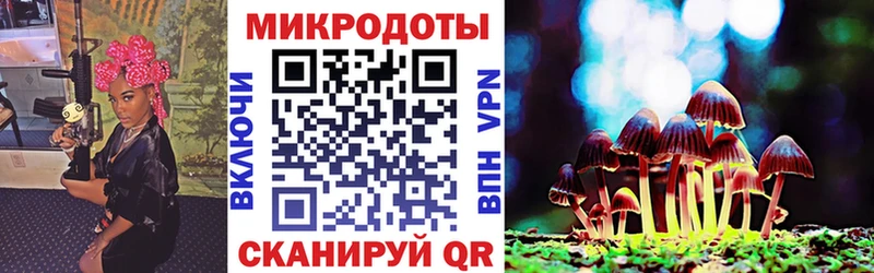 блэк спрут онион  Шатура  Галлюциногенные грибы мицелий 